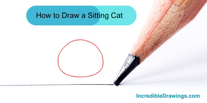 How to draw a sitting cat step by step