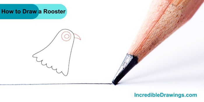 How to Draw a Rooster Step By Step