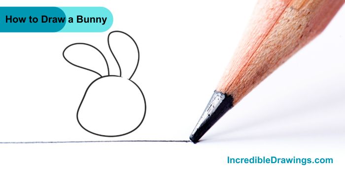 How to Draw a Bunny Step By Step