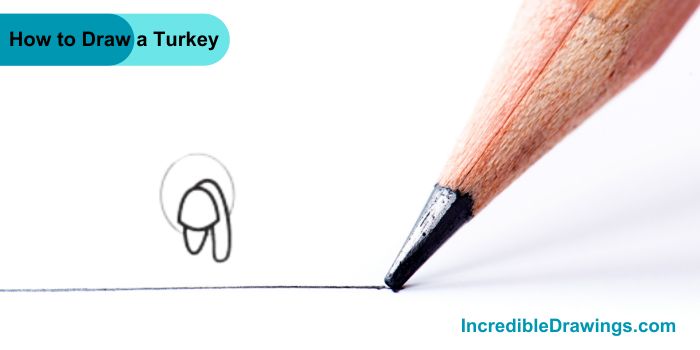 How to Draw a Turkey Step By Step