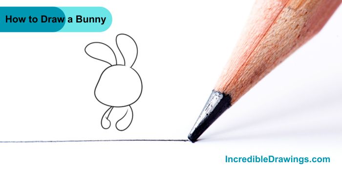 How to Draw a Bunny Step By Step