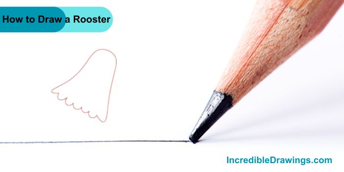 How to Draw a Rooster Step By Step