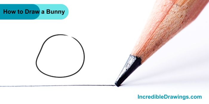 How to Draw a Bunny Step By Step