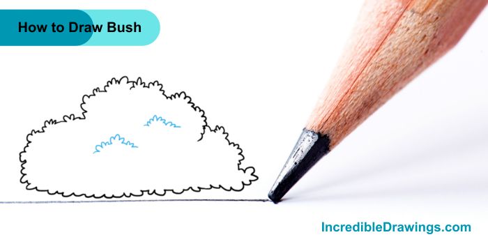 How to Draw a Bush