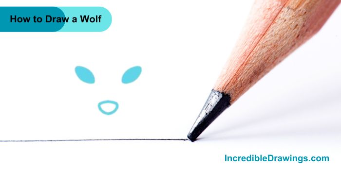 How to Draw a Wolf Step By Step