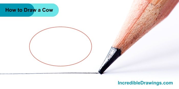 How to Draw a Cow Step By Step