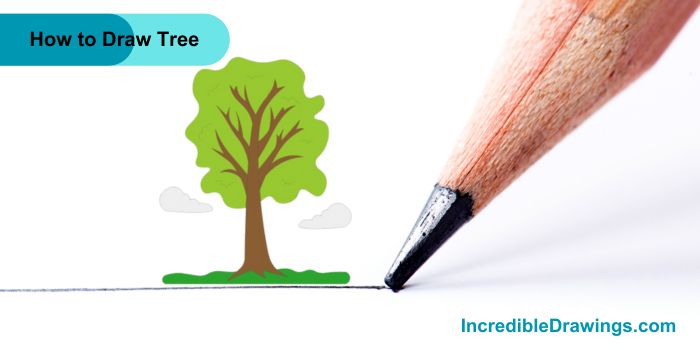 How to Draw a Tree Step by Step