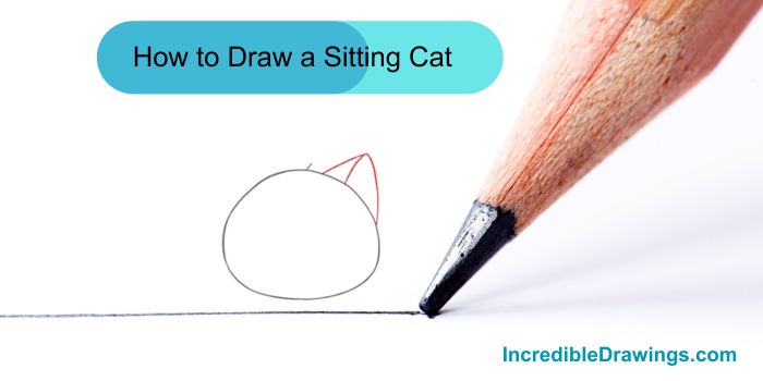 How to draw a sitting cat step by step