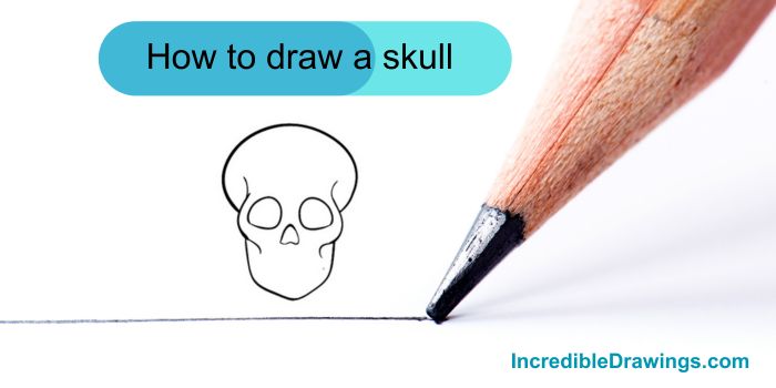 How to Draw a Skull Step-by-Step for Kids