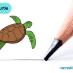 How to Draw a Turtle step By Step