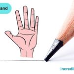 How to Draw Human Hand Step By Step