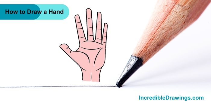 How to Draw Human Hand Step By Step