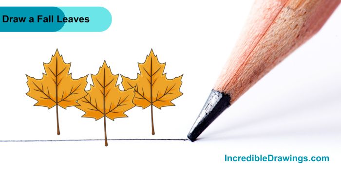 How to Draw Fall Leaves Step By Step