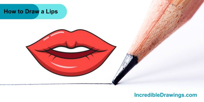 How to Draw Human Lips Step By Step