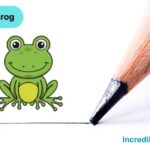 How to Draw a Frog Step By Step