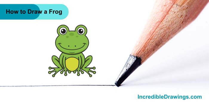 How to Draw a Frog Step By Step