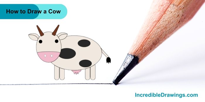 How to Draw a Cow Step By Step