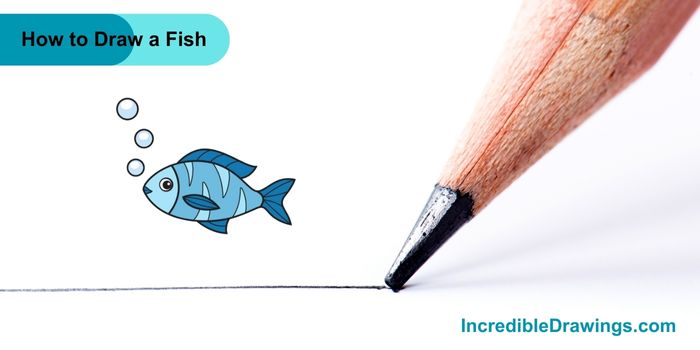 How to Draw a Fish Step By Step