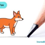 How to Draw a Fox Step By Step