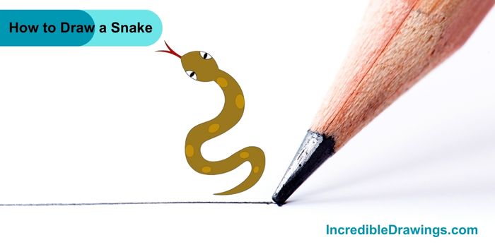 How to Draw a Snake Step By Step