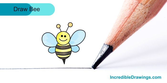 How to Draw a Bee Step by Step