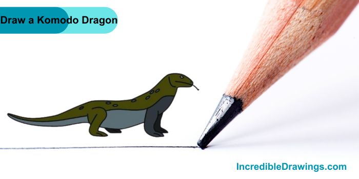 How to Draw a Komodo Dragon Step By Step