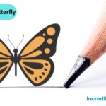 How to Draw a Butterfly Step By Step