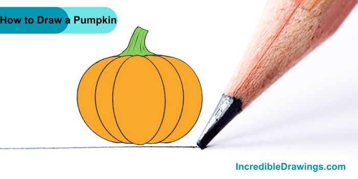 How to Draw a Pumpkin Step By Step