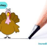 How to Draw a Turkey Step By Step