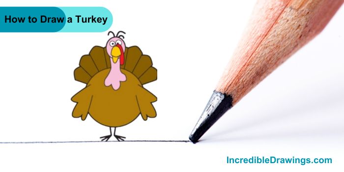 How to Draw a Turkey Step By Step