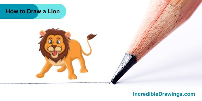 How to Draw a Lion Step By Step