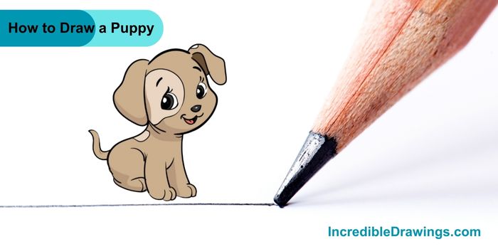 How to Draw a Puppy Step By Step