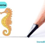 How to Draw a Seahorse Step By Step