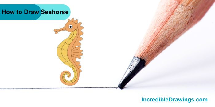 How to Draw a Seahorse Step By Step