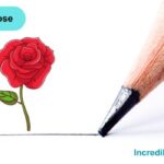 How to Draw a Rose Step By Step