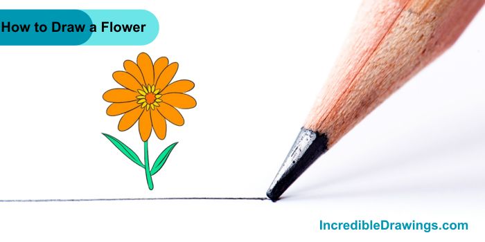 How to Draw a Flower Step By Step