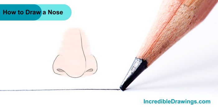 How to Draw a Human Nose Step By Step