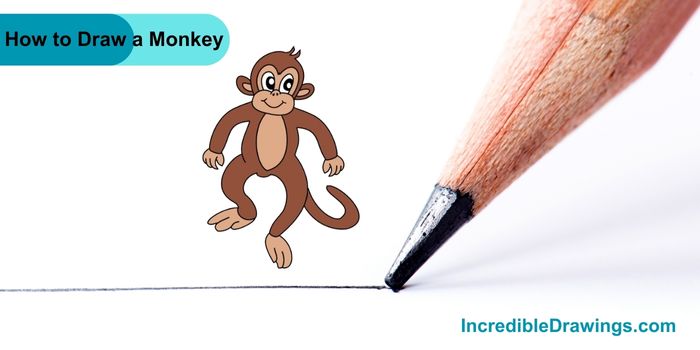 How to Draw a Monkey Step By Step