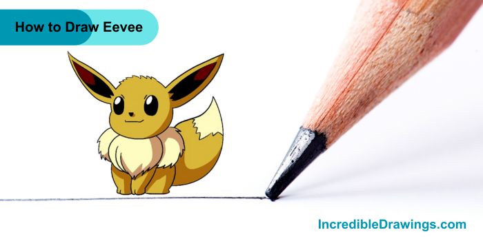 How to Draw Eevee Step By Step