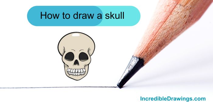 How to Draw a Skull Step-by-Step for Kids